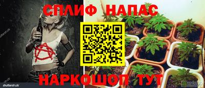 гашиш Жуковский