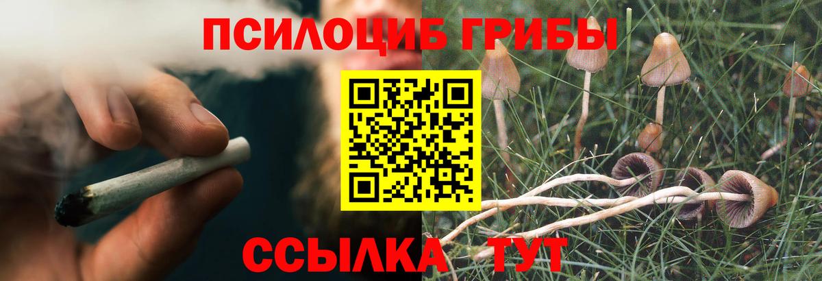 Мариинск  Псилоцибиновые грибы Psilocybe  Вход с VPN 